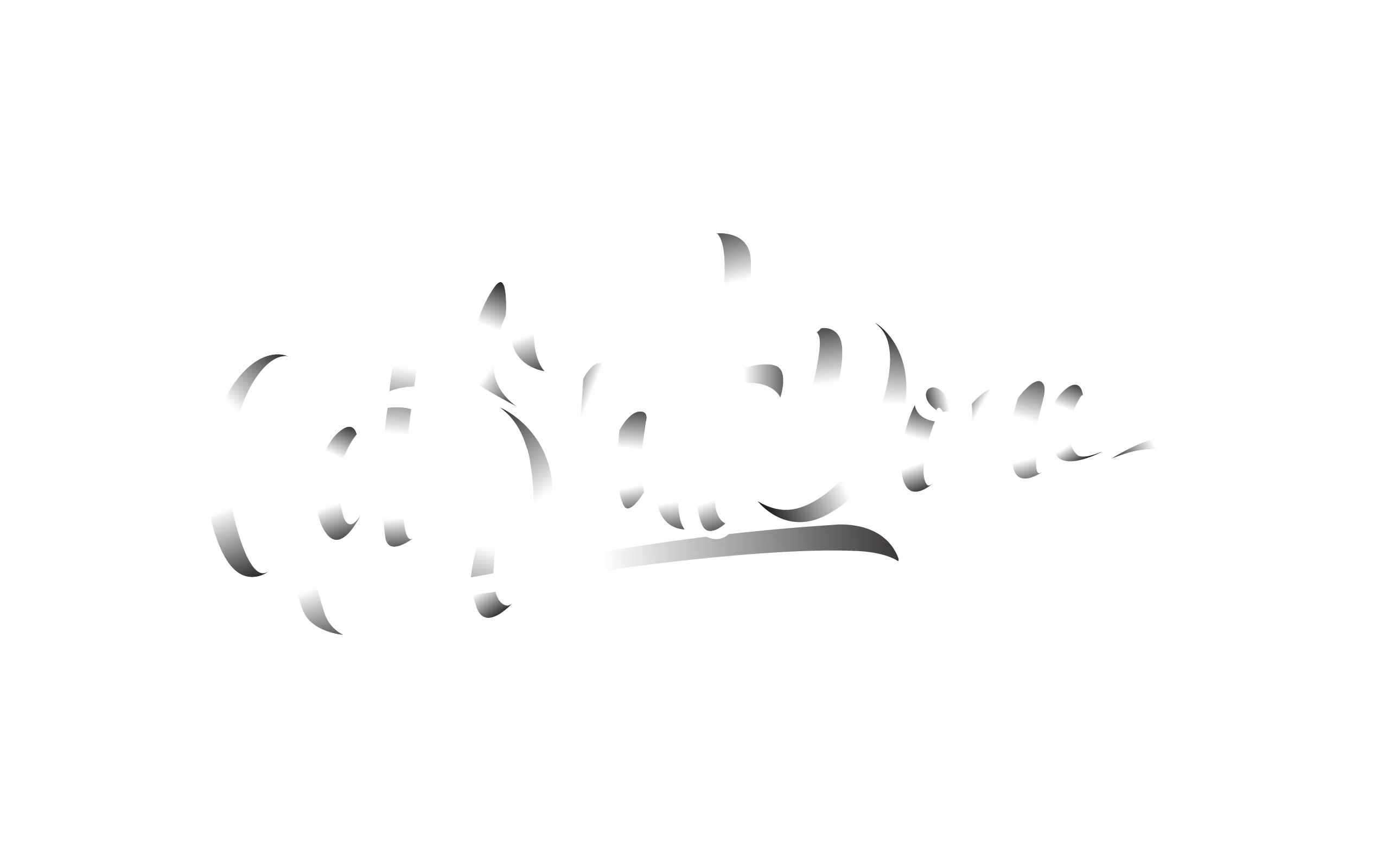 Get Shit Done